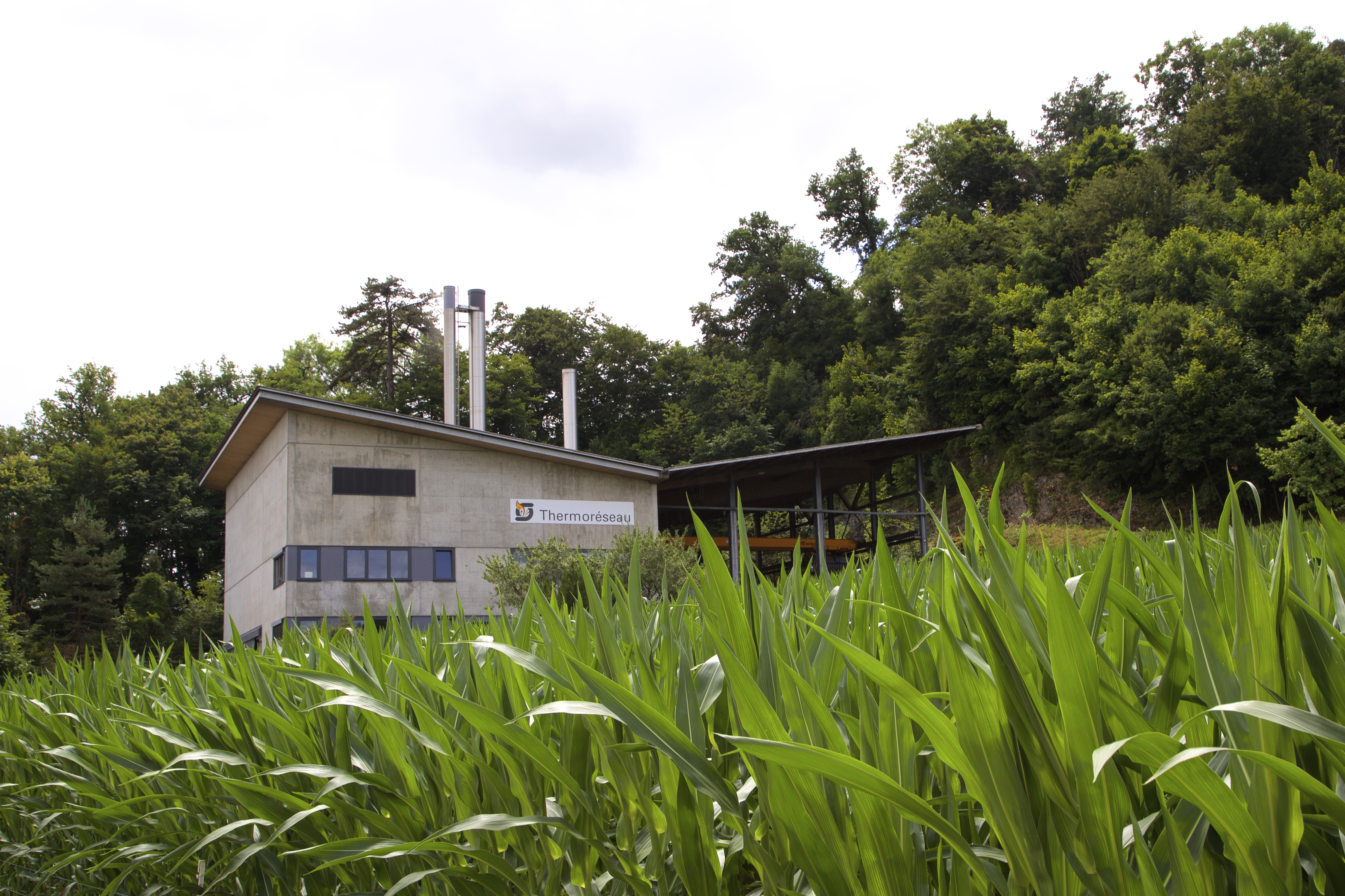Centrale Thermobois, Porrentruy 428